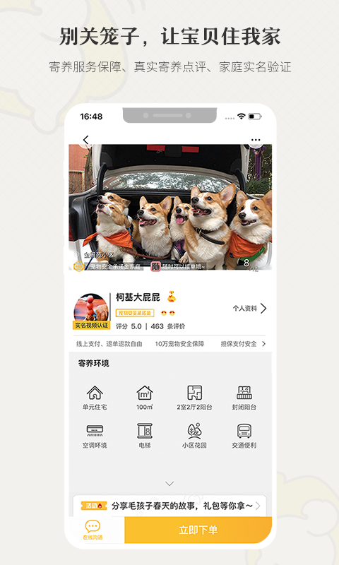 柴犬俱乐部